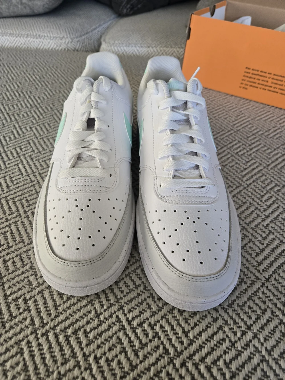 Nike Men’s Court Vision Low Top with Mint Swoosh